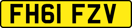 FH61FZV
