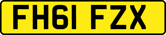 FH61FZX