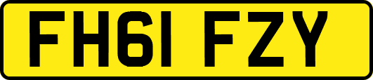 FH61FZY