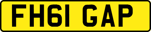 FH61GAP
