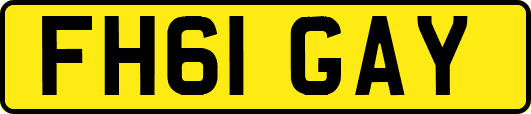 FH61GAY