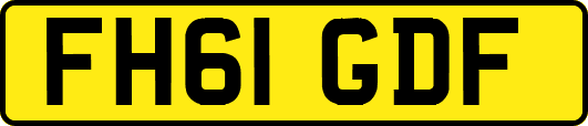 FH61GDF