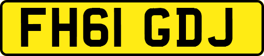 FH61GDJ