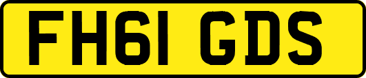 FH61GDS