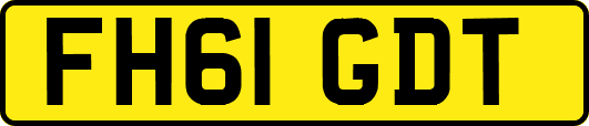 FH61GDT