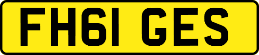 FH61GES