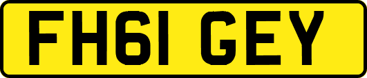 FH61GEY