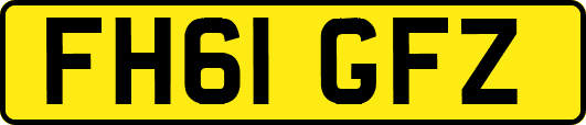 FH61GFZ