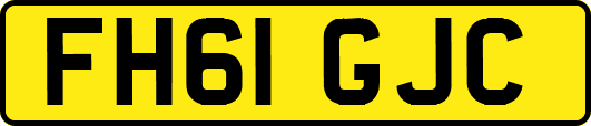 FH61GJC