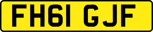FH61GJF