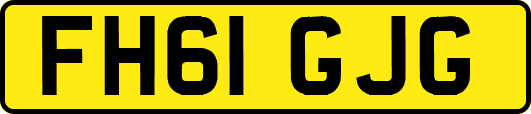 FH61GJG