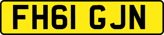 FH61GJN