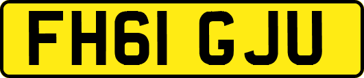 FH61GJU
