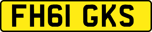 FH61GKS