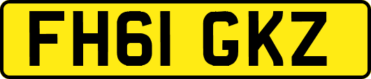 FH61GKZ