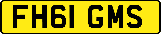 FH61GMS