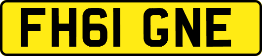 FH61GNE