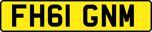FH61GNM
