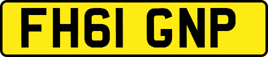 FH61GNP