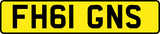 FH61GNS