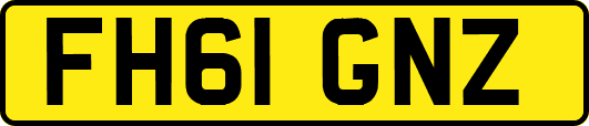 FH61GNZ