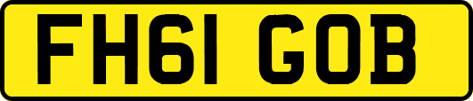 FH61GOB