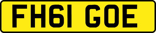 FH61GOE