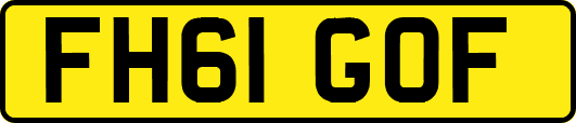 FH61GOF