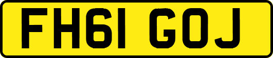 FH61GOJ