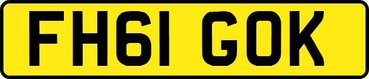 FH61GOK
