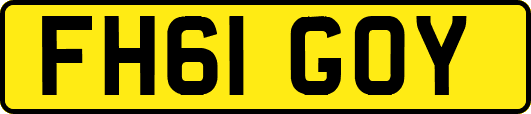 FH61GOY