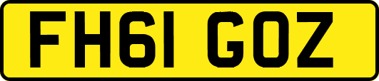 FH61GOZ