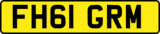 FH61GRM