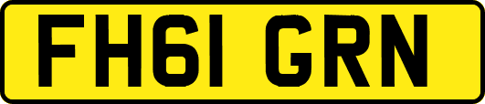FH61GRN