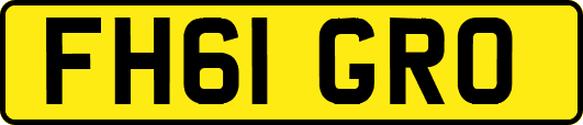 FH61GRO