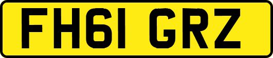 FH61GRZ