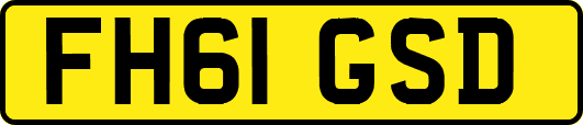 FH61GSD