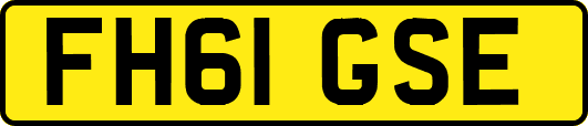 FH61GSE