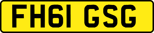 FH61GSG