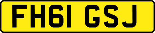 FH61GSJ