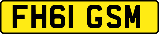 FH61GSM