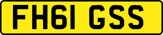FH61GSS