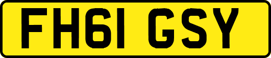 FH61GSY