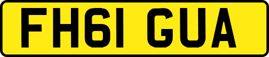 FH61GUA