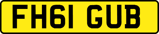 FH61GUB