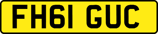 FH61GUC