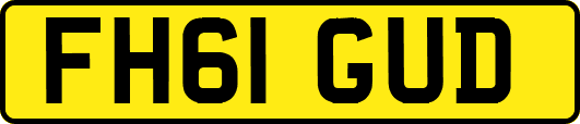 FH61GUD