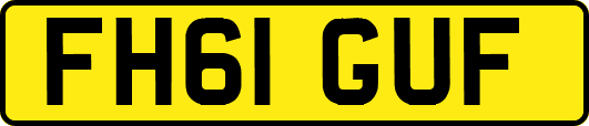 FH61GUF