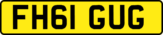FH61GUG
