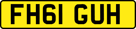 FH61GUH